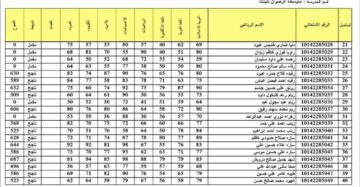 “ظهرت الآن” نتائج السادس الابتدائي التمهيدي 2024 عبر موقع نتائجنا بصيغة PDF
