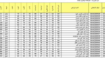 نتائج الصف السادس الابتدائي التمهيدي 2024