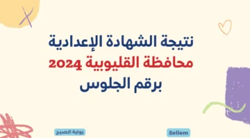 نتائج ثالثة إعدادي بالقليوبية 2024 مديرية التربية والتعليم