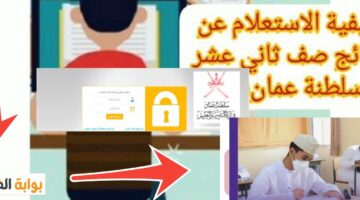 نتائج دبلوم التعليم سلطنة عمان