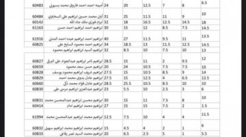 نتيجة اعدادية الشرقية pdf 1