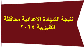 نتيجة اعدادية القليوبية 2024