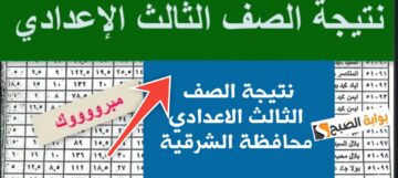 ظهرت الآن بنسبة 87.1% نتيجة الصف الثالث الاعدادي محافظة الشرقية 2024 برابط مباشر
