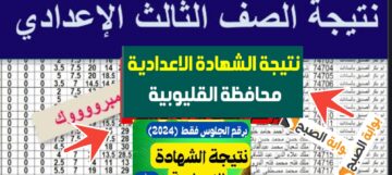 الآن نتيجة الشهادة الإعدادية محافظة القليوبية 2024 بنسبة نجاح 80.31% رسمياً