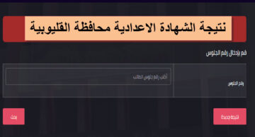 برقم الجلوس.. لينك نتيجة اعدادية القليوبية 2024