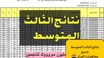 نتيجة الصف التاسع