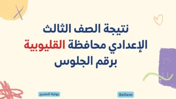 نتيجة الصف الثالث الإعدادي محافظة القليوبية برقم الجلوس qaliobia.gov.eg نتائج 3 اعدادي بالقليوبية ترم أول