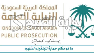 “مجلس الوزراء السعودي” يُعلن عن نظام حماية المبلغين والشهود والخبراء والضحايا