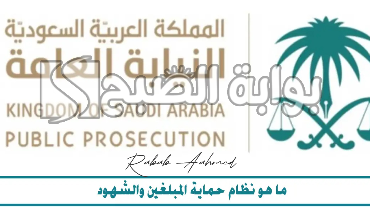 "مجلس الوزراء السعودي" يُعلن عن نظام حماية المبلغين والشهود والخبراء والضحايا 5 “مجلس الوزراء السعودي” يُعلن عن نظام حماية المبلغين والشهود والخبراء والضحايا
