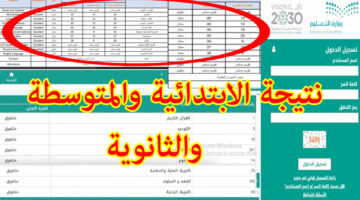 نظام نور للنتائج استخراج نتائج نظام نور برقم الهوية فقط 1443