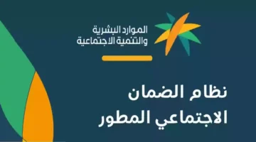 هل تؤثر العمالة المنزلية على استحقاق الضمان