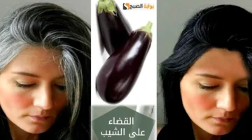 وصفة الباذنجان للتخلص من الشعر الأبيض 1