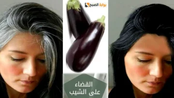 طريقة عمل وصفة الباذنجان للتخلص من الشعر الأبيض وبعدها هتودعي الشيب و توفري فلوس الصبغة