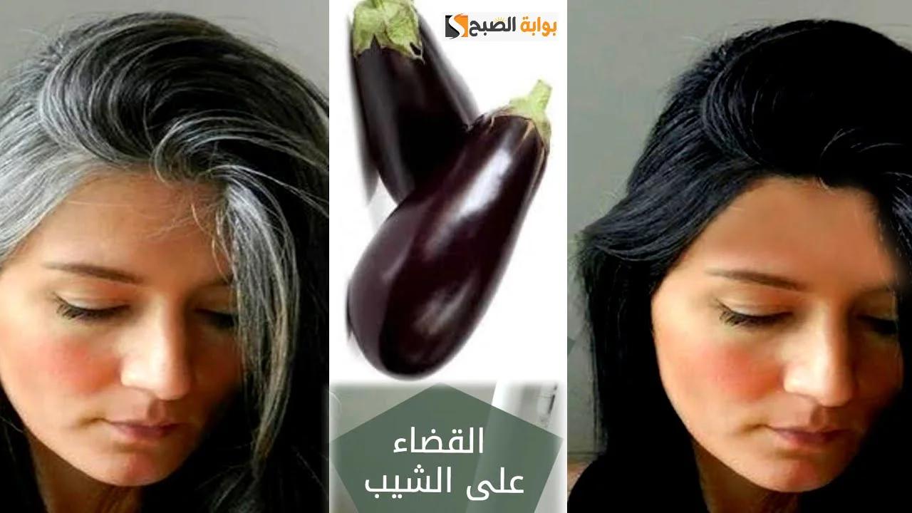 طريقة عمل وصفة الباذنجان للتخلص من الشعر الأبيض وبعدها هتودعي الشيب و توفري فلوس الصبغة 2 طريقة عمل وصفة الباذنجان للتخلص من الشعر الأبيض وبعدها هتودعي الشيب و توفري فلوس الصبغة