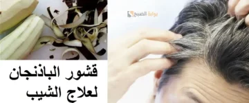 ودعي الشيب نهائيا وصفة الباذنجان للتخلص من الشعر الأبيض هيتحول لأسود داكن في لمح البصر