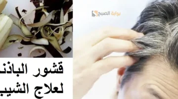 وصفة الباذنجان للتخلص من الشعر الأبيض