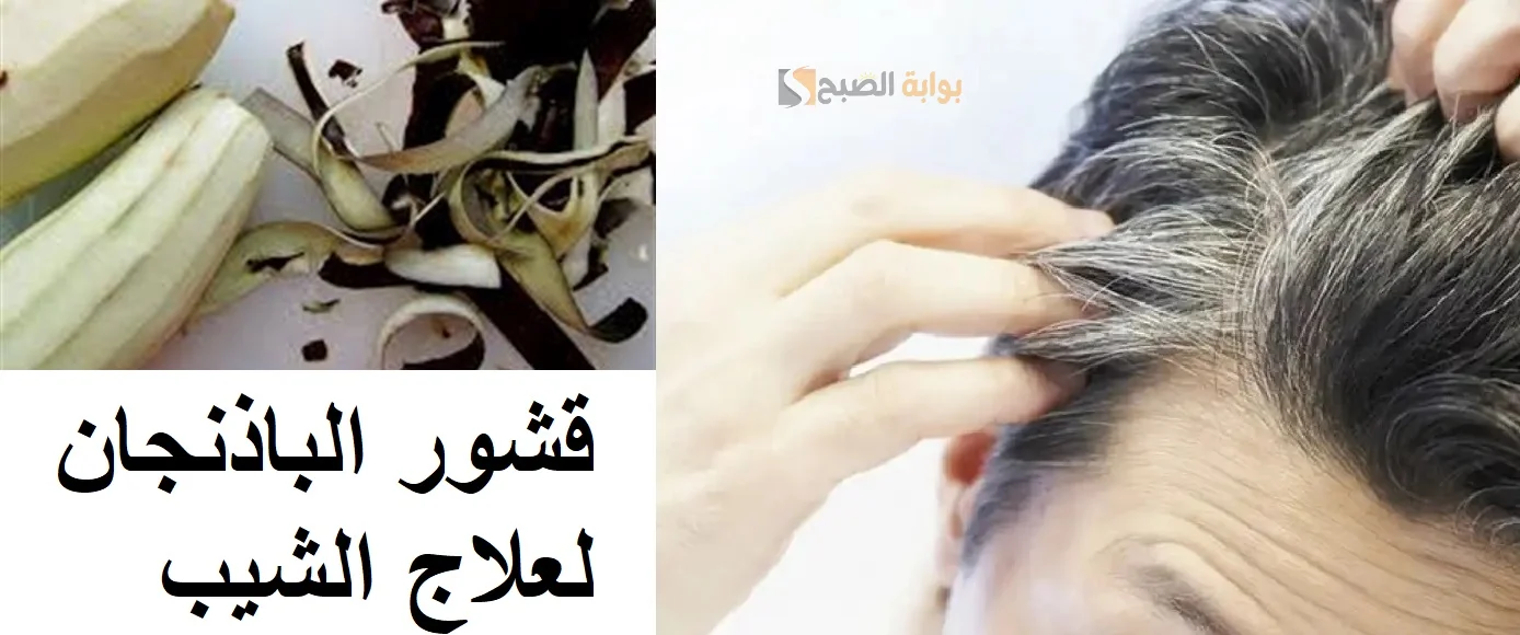 ودعي الشيب نهائيا وصفة الباذنجان للتخلص من الشعر الأبيض هيتحول لأسود داكن في لمح البصر