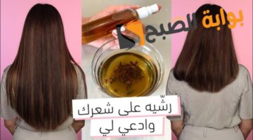 ٢٠٢٤٠٢١٢ ١٩٠٧٤٧