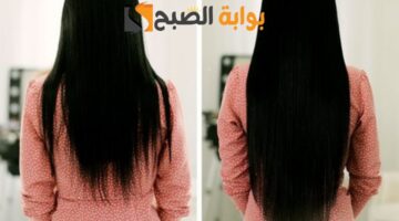 ٢٠٢٤٠٢١٧ ٠٥٥٠٠٨