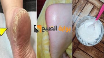 ٢٠٢٤٠٢١٧ ١٩٥٢٣١
