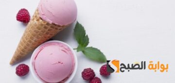 طرق سهلة لتحضير الآيس كريم في المنزل “الحلا اللذيذ بتكاليف منخفضة”