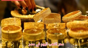 IMG ٢٠٢٤٠٣١٣ ٠٥٣٠٤٧ 1