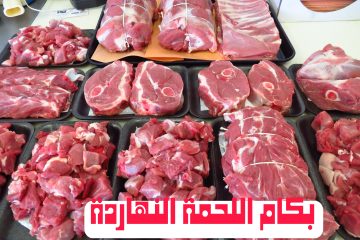 تعرف على أسعار اللحوم اليوم الأربعاء 13 مارس 2024