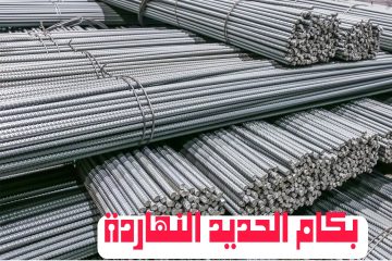تعرف على أسعار الحديد في مصر اليوم الأربعاء 13 مارس 2024
