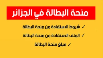 سجل الآن.. منحة البطالة في الجزائر 2024 عبر موقع الوكالة الوطنية للتشغيل anem.dz