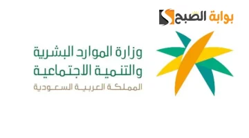 الاستعلام عن نطاق مؤسسة