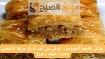 جلاش باللحمة المفرومة… تعرفي على أهم أسرار طريقة التحضير ليصبح خفيف ومورق