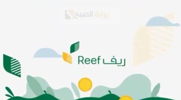 دعم ريف متى ينزل