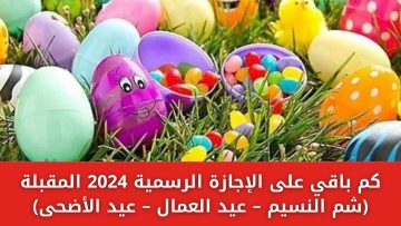 كم باقي على الإجازات الرسمية خلال عام 2024 المقبلة (شم النسيم – عيد العمال – عيد الأضحى)