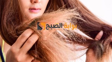 وصفة للشعر الجاف والمتقصف بمكونات طبيعية نعومة فائقة من اول استعمال