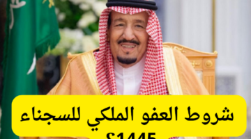 06 02 24 32058671