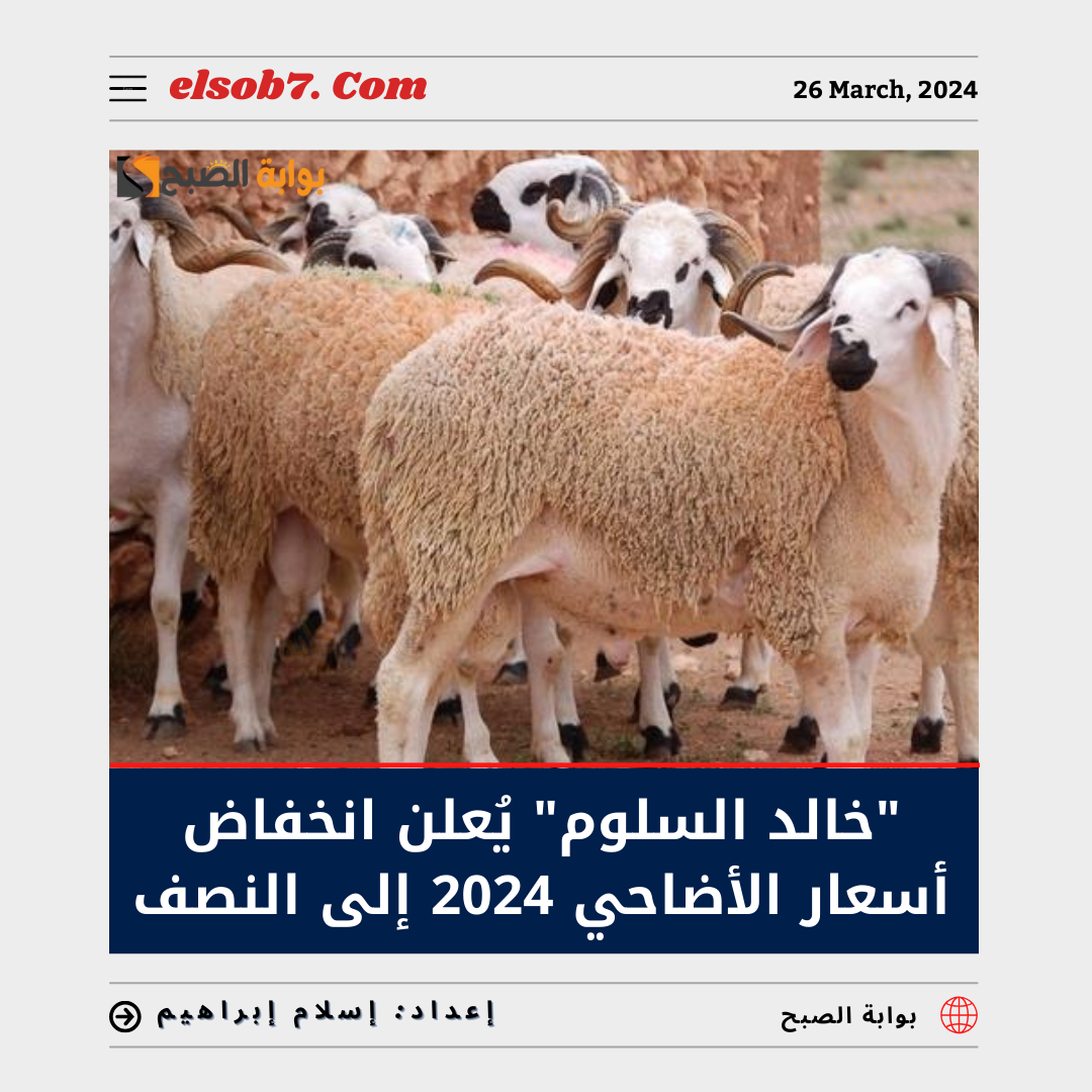 “الدلال خالد السلوم”  يُعلن انخفاض أسعار الأضاحي 2024 إلى النصف ويُوضح سعر النعيمي والنجدي والحري