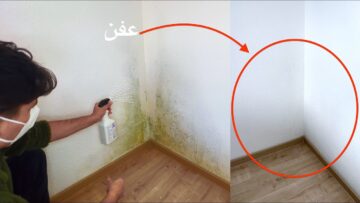 وداعا لرطوبه وعفن الحوائط.. بمكون سحري تخلصي من عفن الجدران في دقيقتين بفكرة عبقرية بدون تكاليف هترجع جديدة لانج