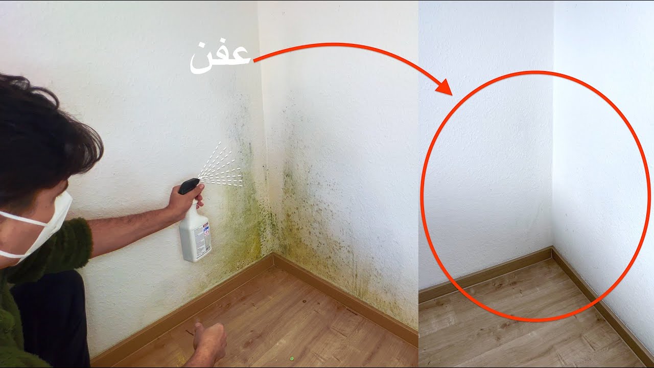 وداعا لرطوبه وعفن الحوائط.. بمكون سحري تخلصي من عفن الجدران في دقيقتين بفكرة عبقرية بدون تكاليف هترجع جديدة لانج 5 وداعا لرطوبه وعفن الحوائط.. بمكون سحري تخلصي من عفن الجدران في دقيقتين بفكرة عبقرية بدون تكاليف هترجع جديدة لانج