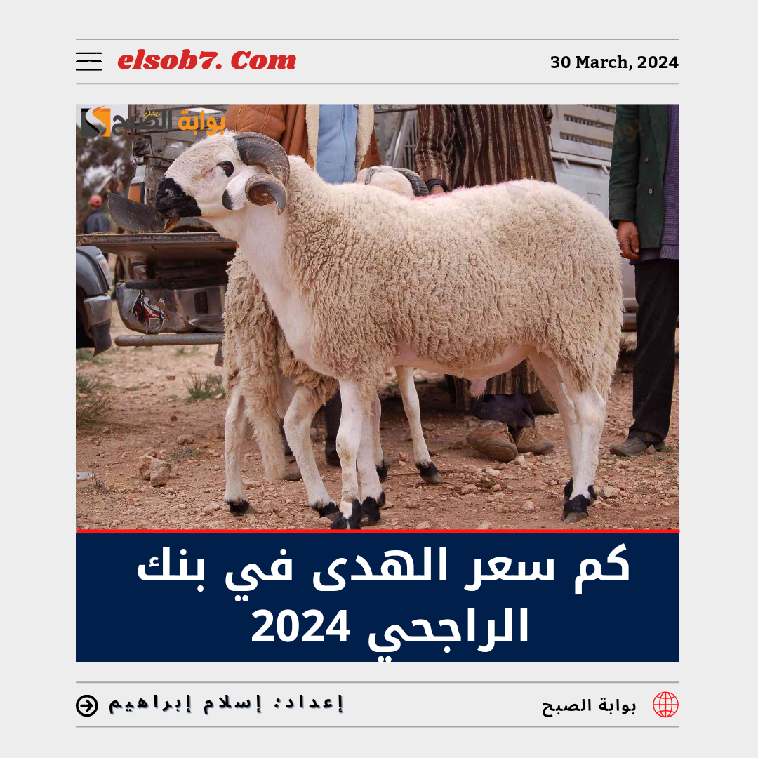 كم سعر الهدى في بنك الراجحي 2024؟.. تعرف على أسعار الأضحية في الحج 1445