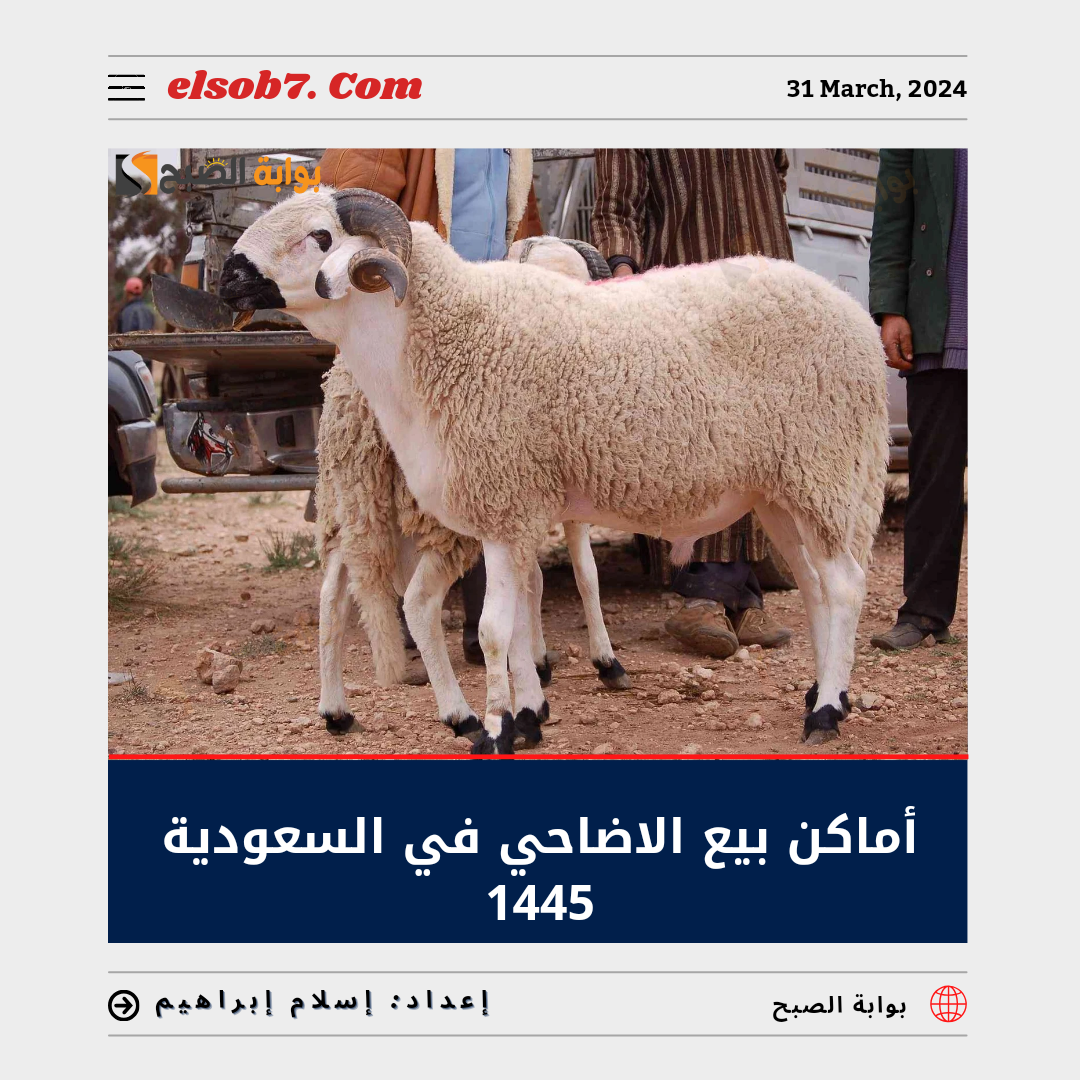 اماكن بيع الاضاحي في السعودية 1445.. وأسعار صك الأضحية 2024