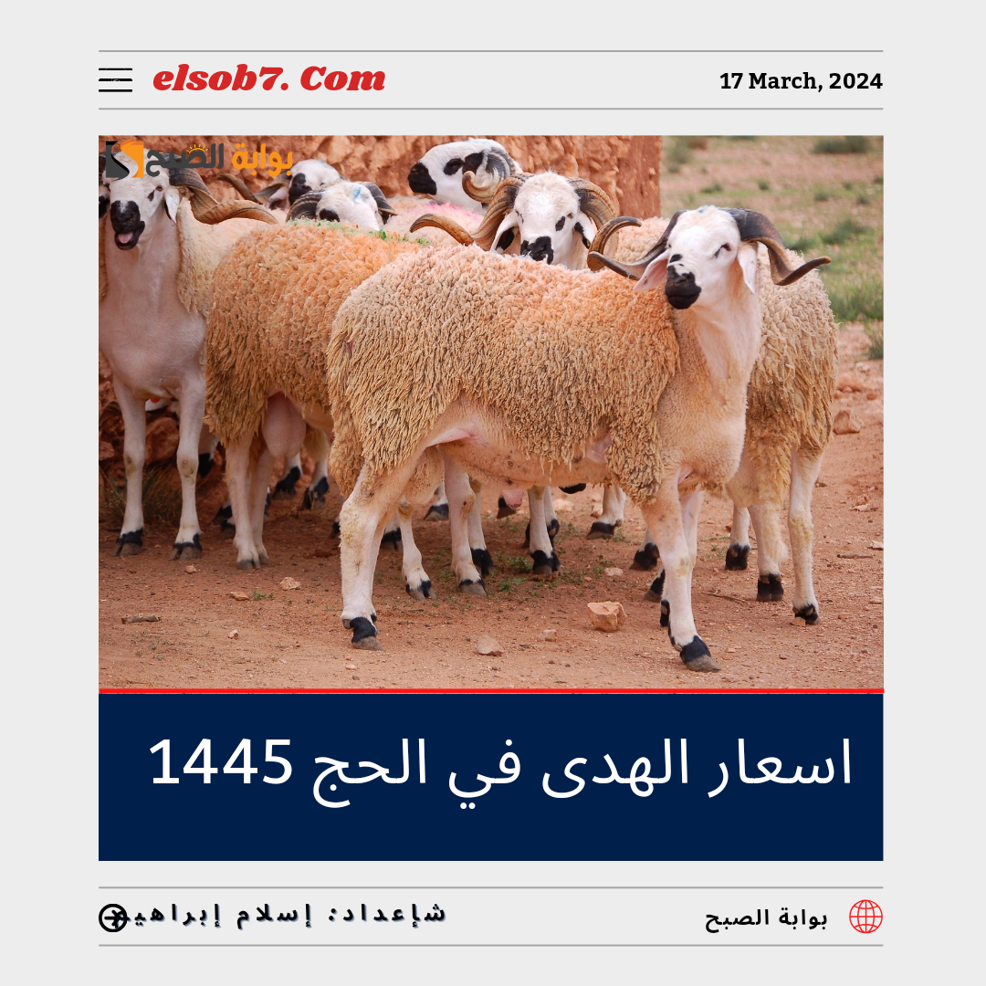 "سعر صك الأضحية".. كم اسعار الهدى في الحج 1445؟ 5 “سعر صك الأضحية”.. كم اسعار الهدى في الحج 1445؟