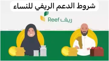 ما هي شروط استحقاق دعم ريف للنساء بالمملكة وكيفية التقديم للحصول علي الدعم؟
