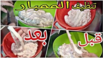 جهزيها قبل العيد.. طريقة تنظيف الممبار من الأوساخ في الخلاط وبدون مجهود.. فعالة من أول مرة