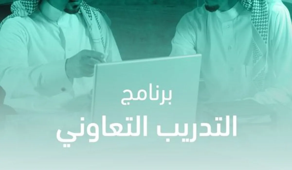 كيفية التقديم على البرنامج التدريب التعاوني لخريجي 2024 في الوزارة المالية 5 كيفية التقديم على البرنامج التدريب التعاوني لخريجي 2024 في الوزارة المالية