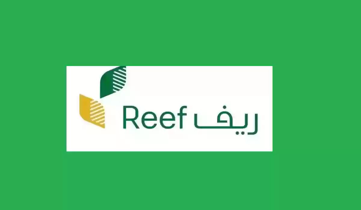 ما هي خطوات التسجيل في دعم ريف.. وأهم الشروط المطلوبة للحصول على الدعم الريفي 5 ما هي خطوات التسجيل في دعم ريف.. وأهم الشروط المطلوبة للحصول على الدعم الريفي