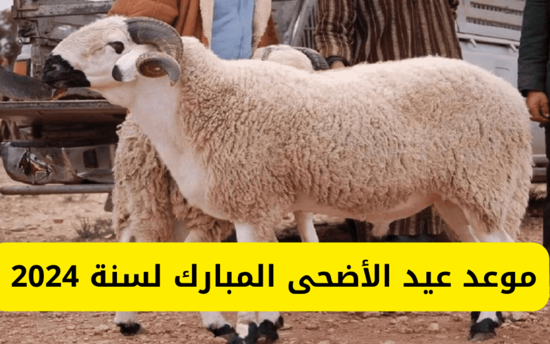 فاضل أيام.. موعد عيد الأضحى المبارك ويوم وقفة عرفة 2024 والاجازات الرسمية للموظفين 5 فاضل أيام.. موعد عيد الأضحى المبارك ويوم وقفة عرفة 2024 والاجازات الرسمية للموظفين
