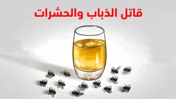 بدون اي مبيدات.. بمكون جبار تخلصي من الذباب والحشرات نهائي هيهربوا فورا من بيتك بدون كيماويات