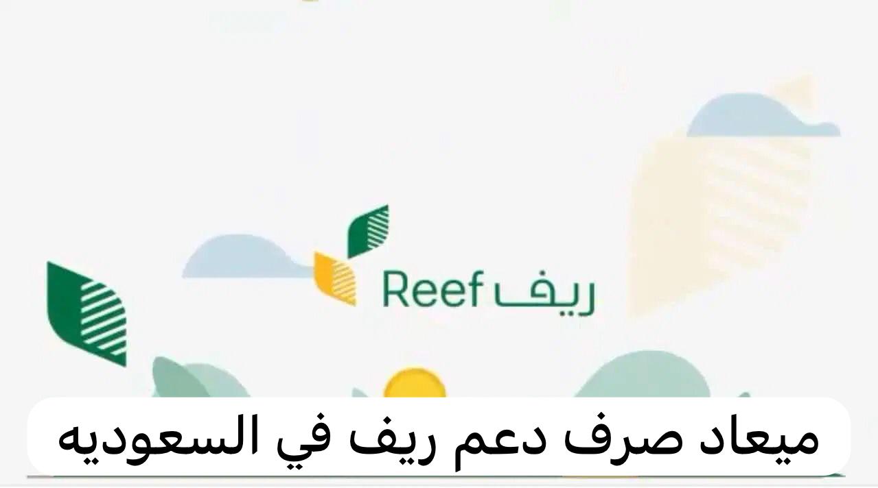موعد صرف دعم ريف وشروط الحصول على الدعم 5 موعد صرف دعم ريف وشروط الحصول على الدعم