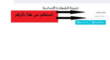 نتيجة الشهادة الإعدادية 2024 في محافظة القاهرة برابط رسمي وفعال.. “استعلم من هنا”