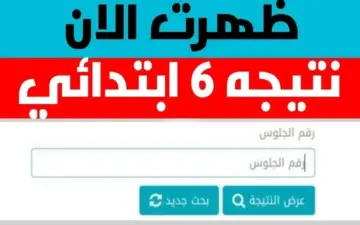 “مبروك للناجحين”.. رابط الاستعلام عن نتيجة الصف السادس الابتدائي محافظة القاهرة الترم الثاني 2024
